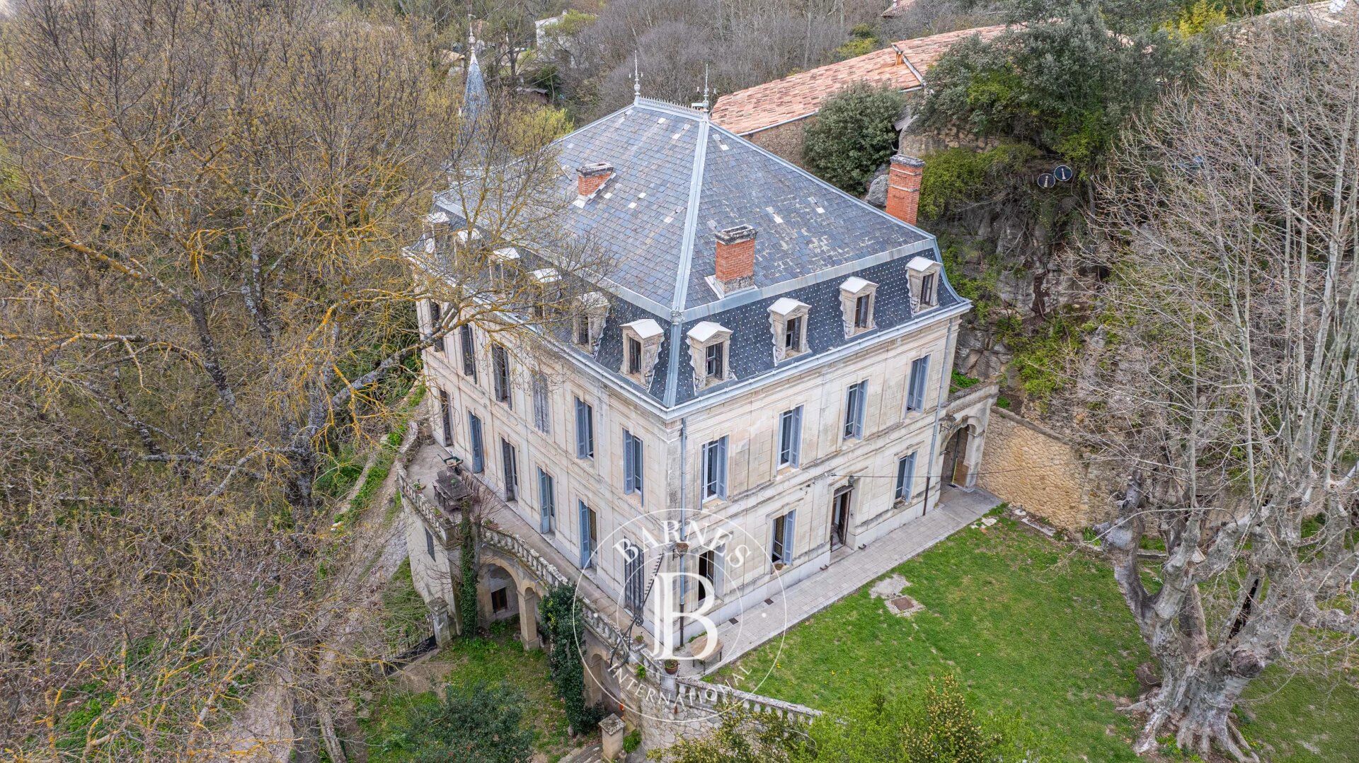BARNES EXCLUSIVITY - JOUQUES - CHATEAU - 630m² - 1,6ha LAND - ANNEXE - picture 1