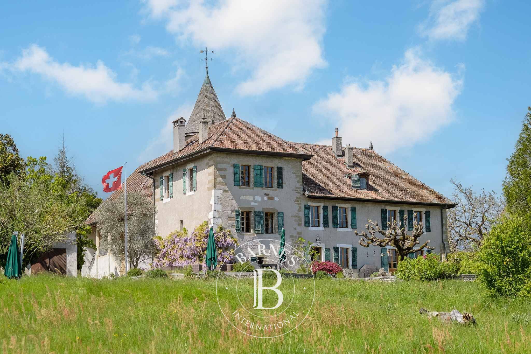 Finca Satigny - picture 1