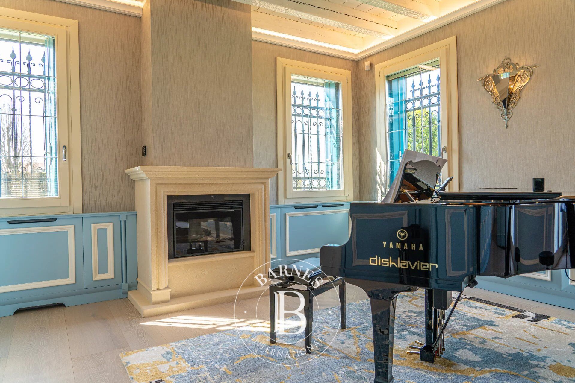 Ev Thiene - picture 18