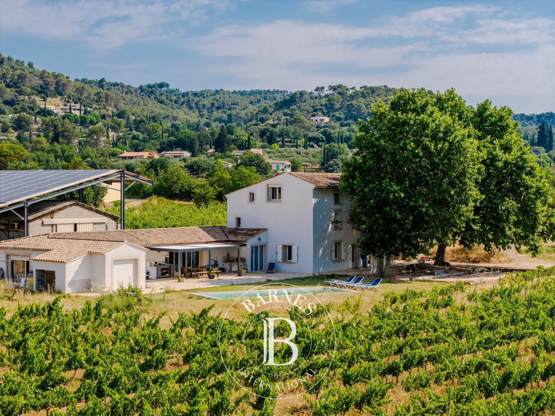 Proprietà vinicola Cotignac - picture 1