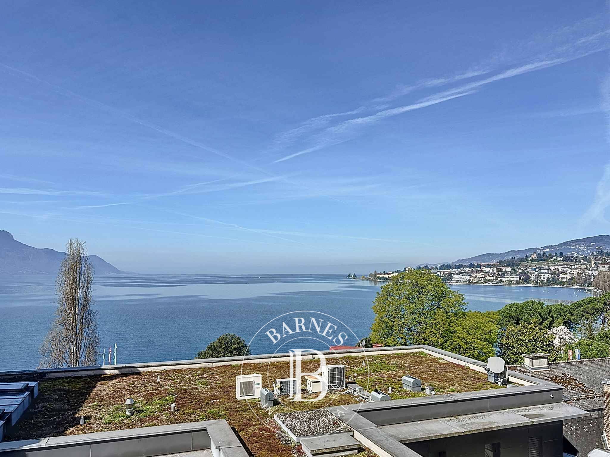 Daire Montreux - picture 4