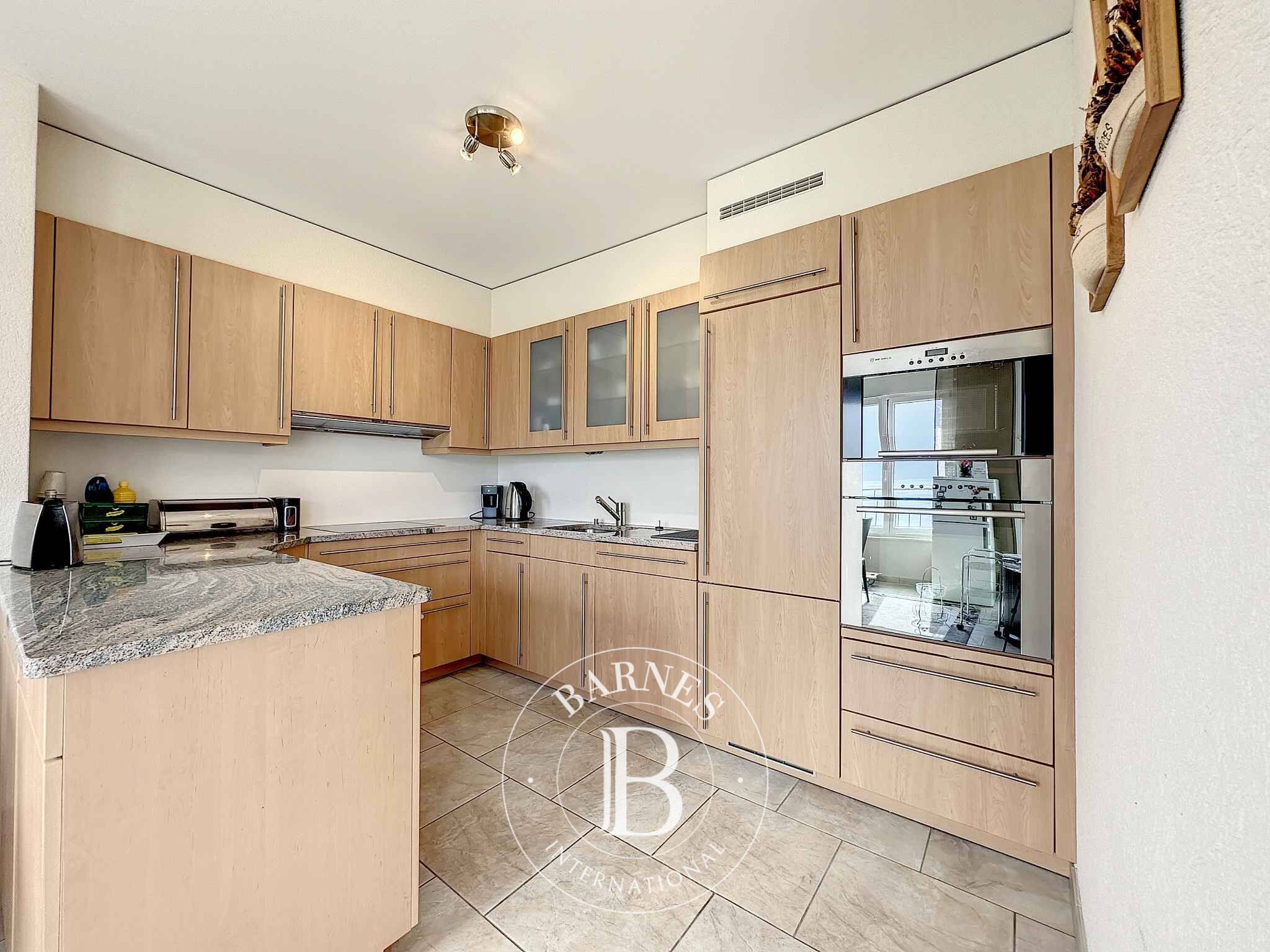 Daire Montreux - picture 5