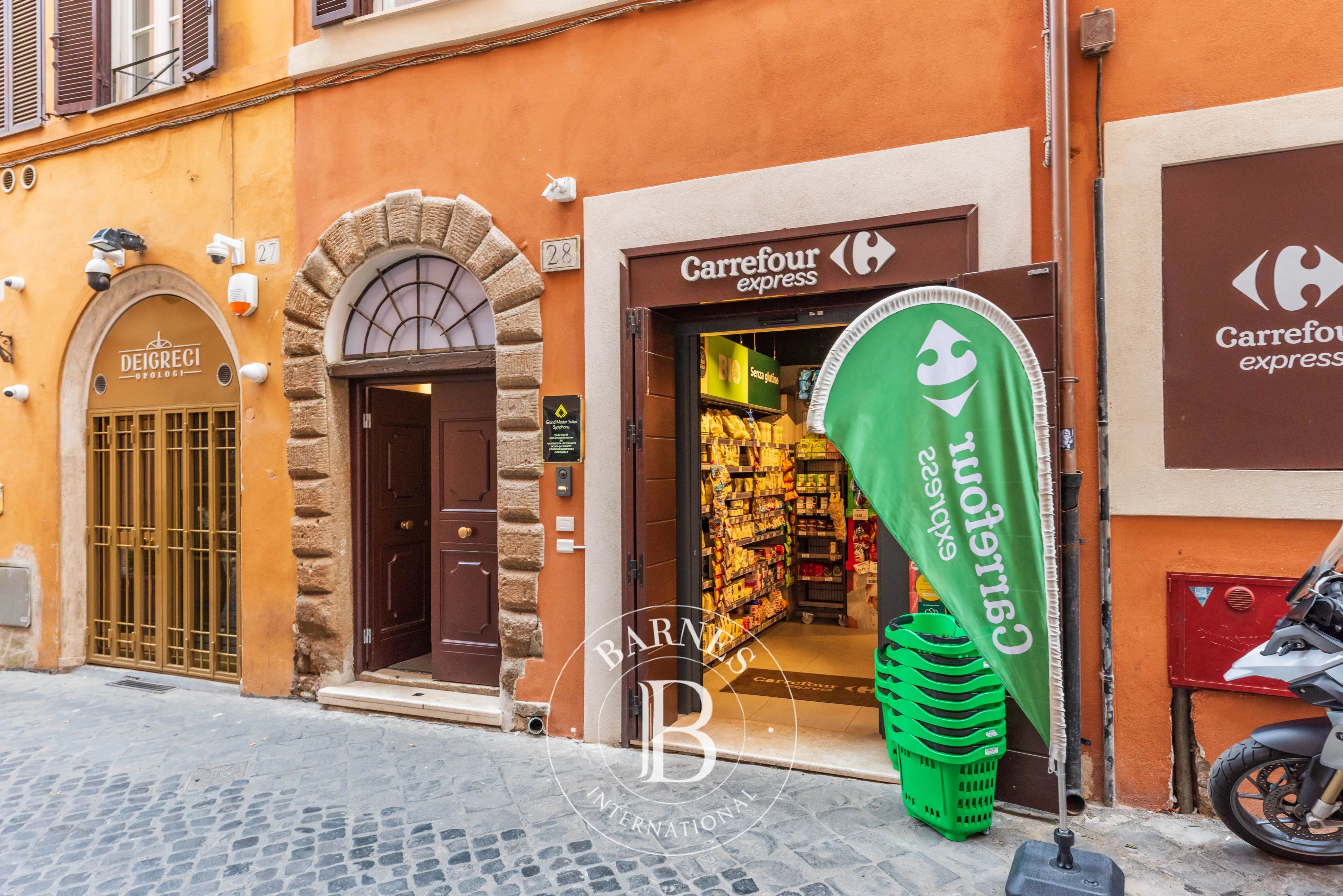 Bina Roma - picture 17