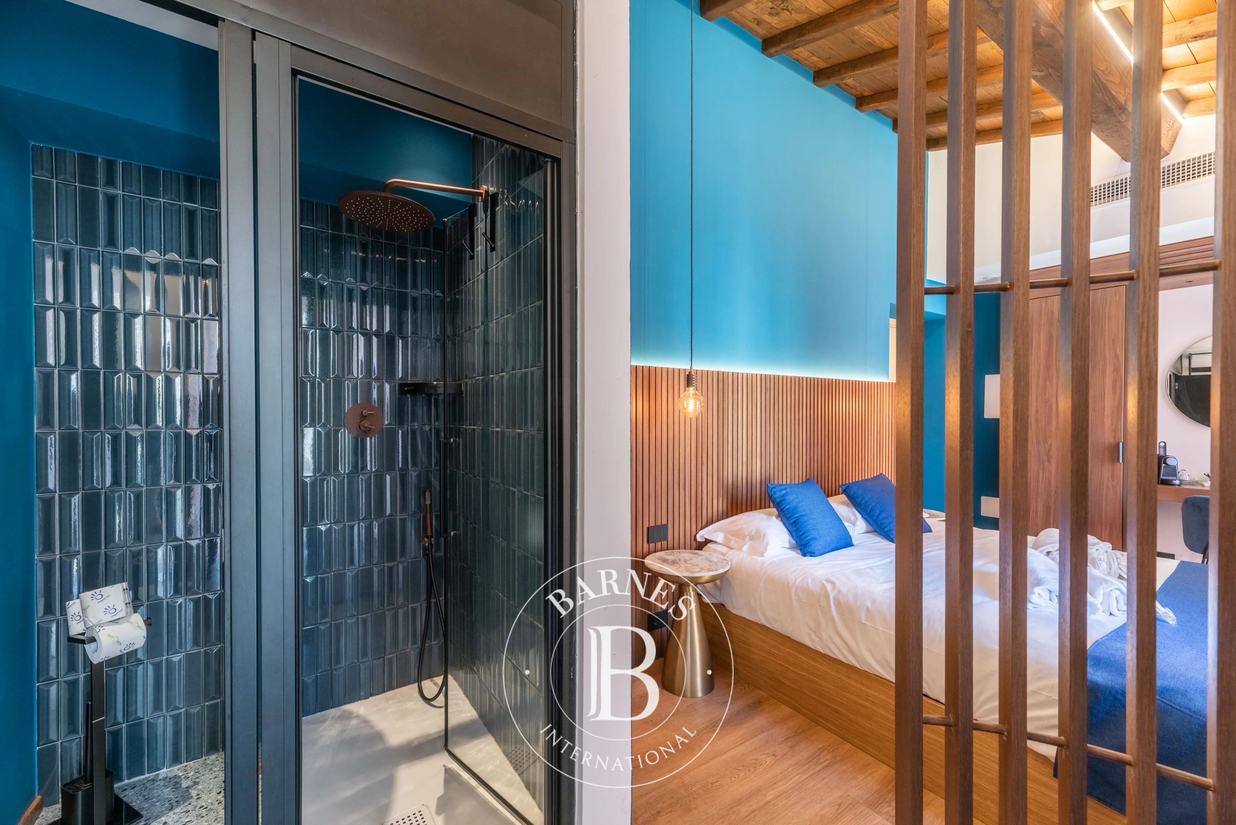 Bina Roma - picture 6