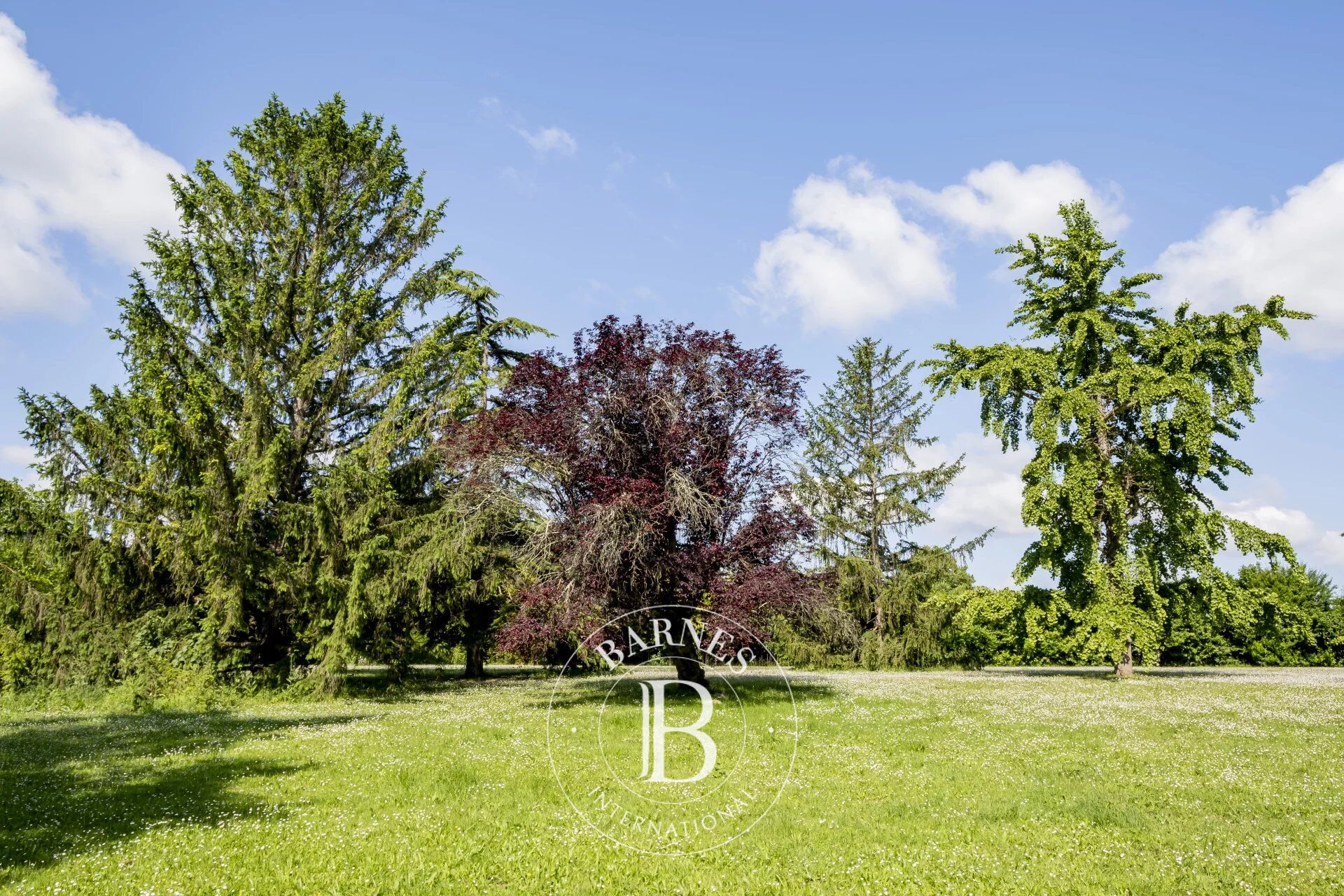 For Sale Property | Saint-Loubès - picture 6