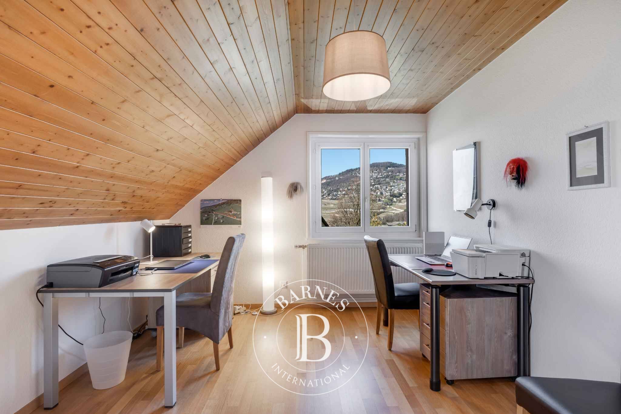 Villa Saint-Légier-La Chiésaz - picture 10