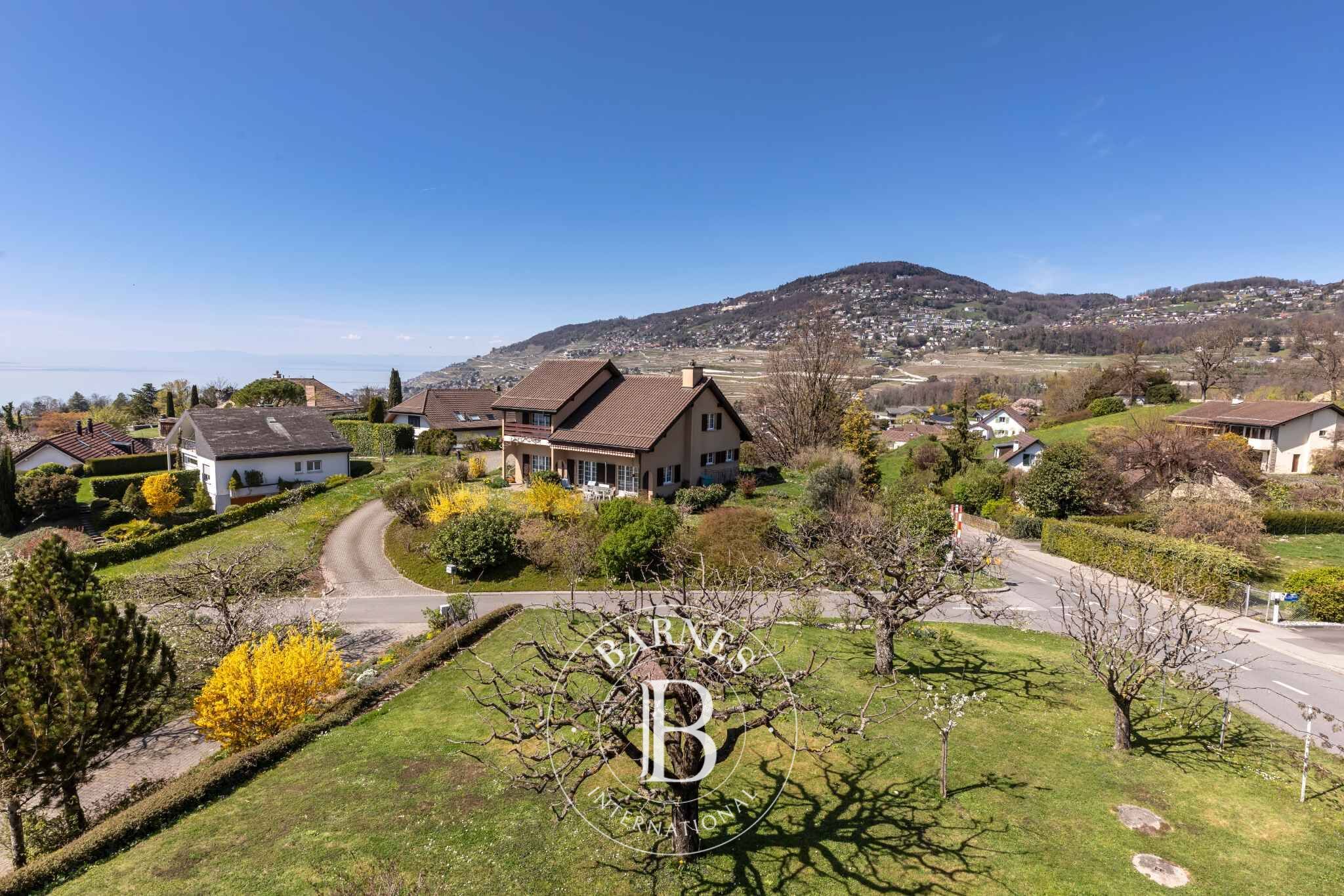 Villa Saint-Légier-La Chiésaz - picture 13