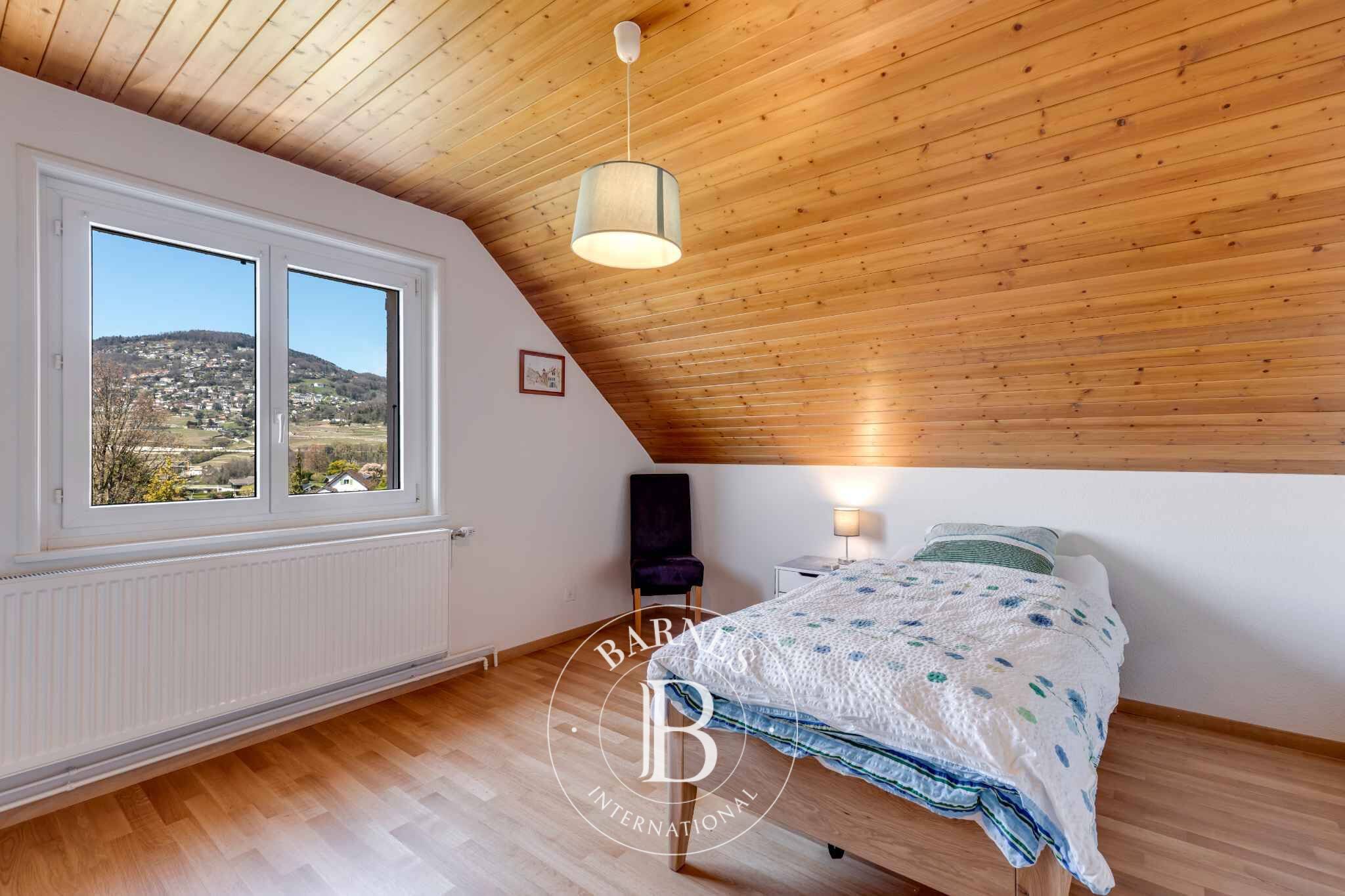 Villa Saint-Légier-La Chiésaz - picture 9