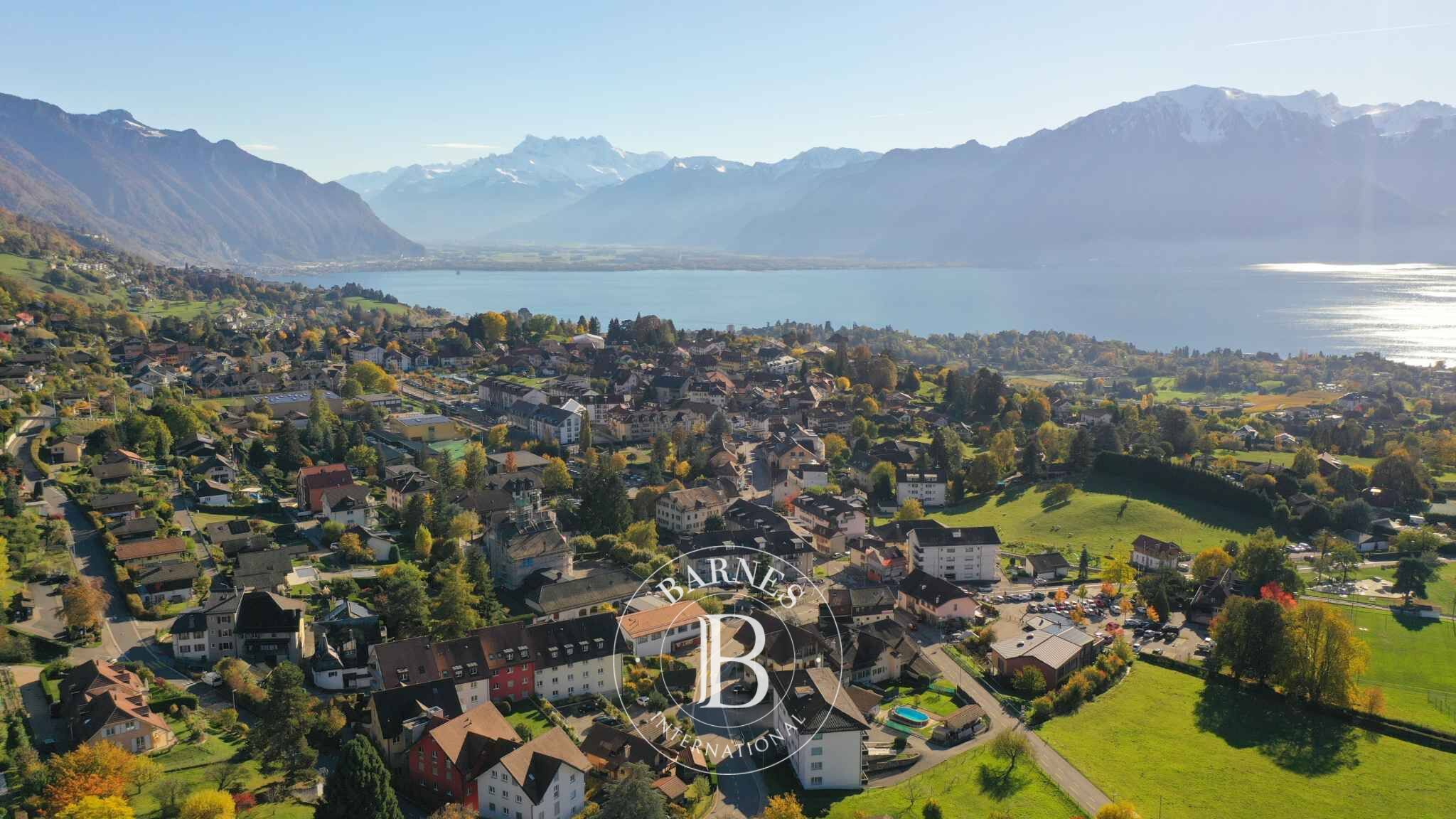 Penthouse Blonay - picture 11