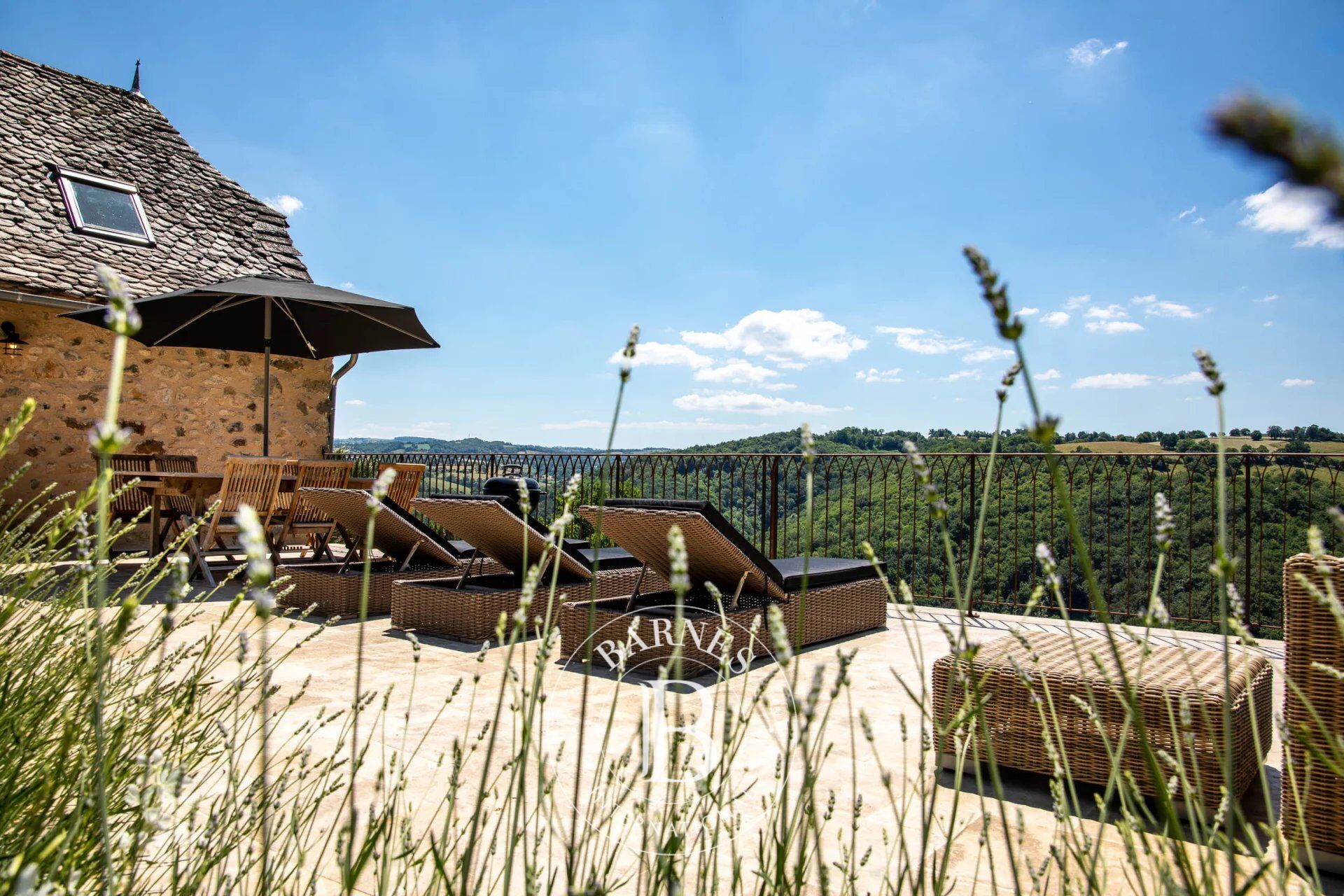 Finca Maleville - picture 3