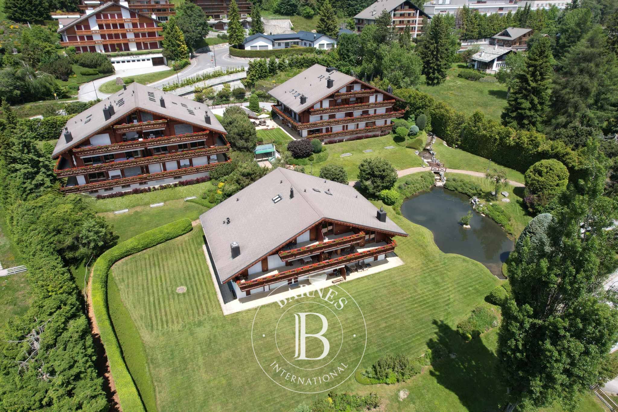 Daire Crans-Montana - picture 5