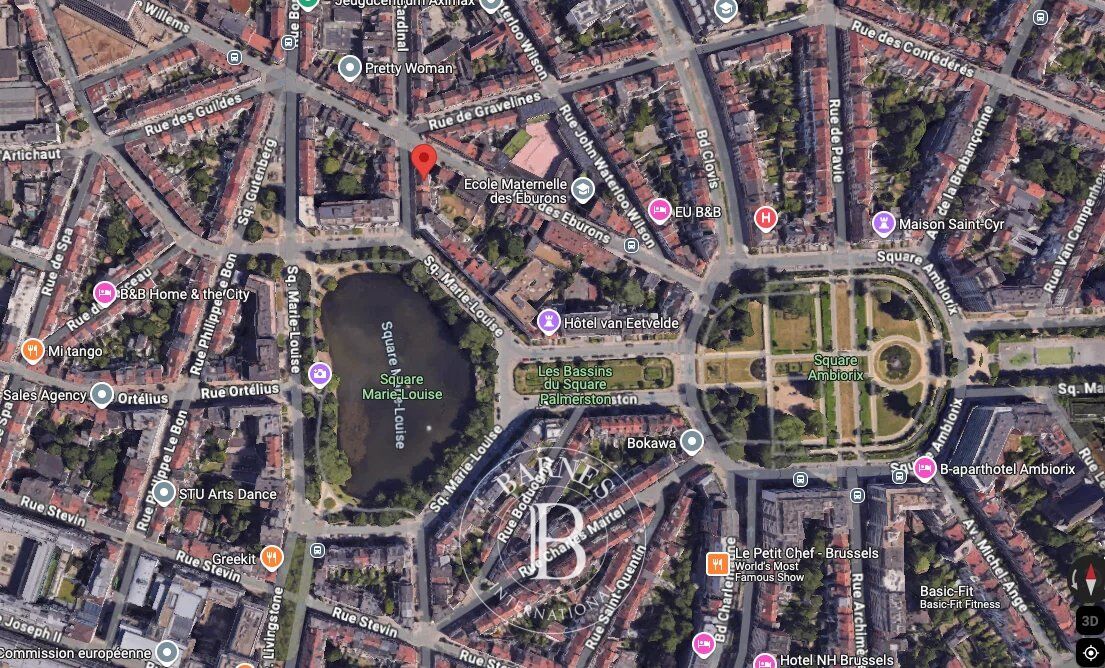 Ev Bruxelles - picture 17