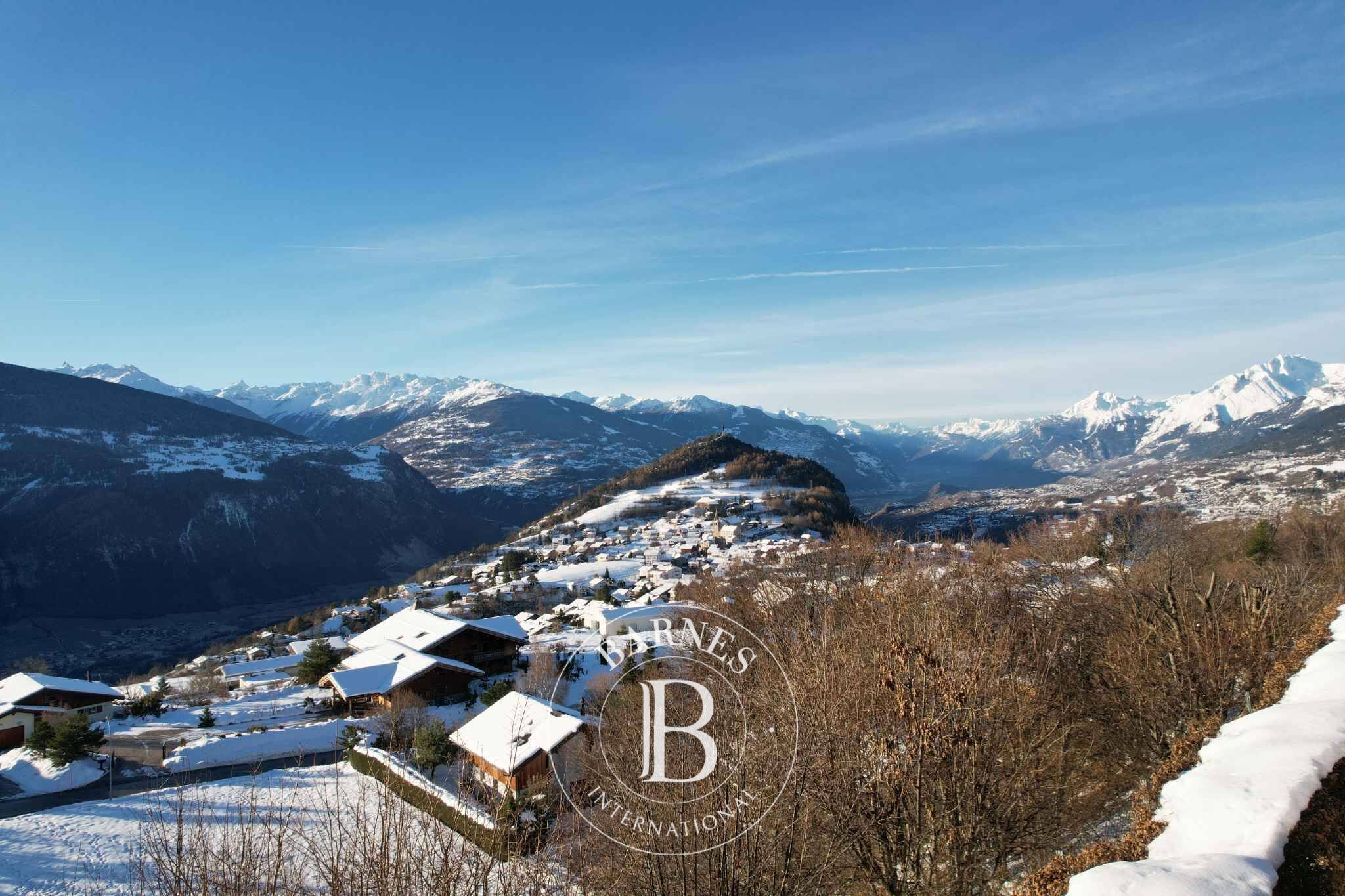 Chalet Lens - picture 2