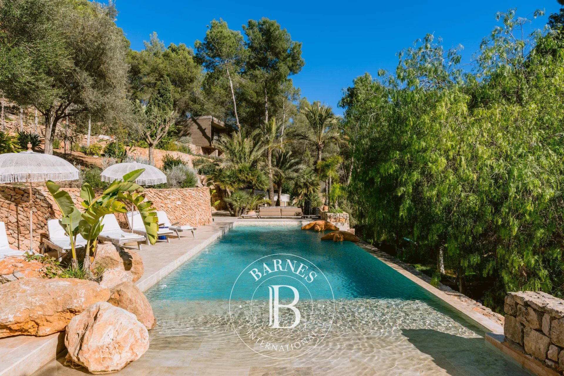 Finca Alma - picture 1