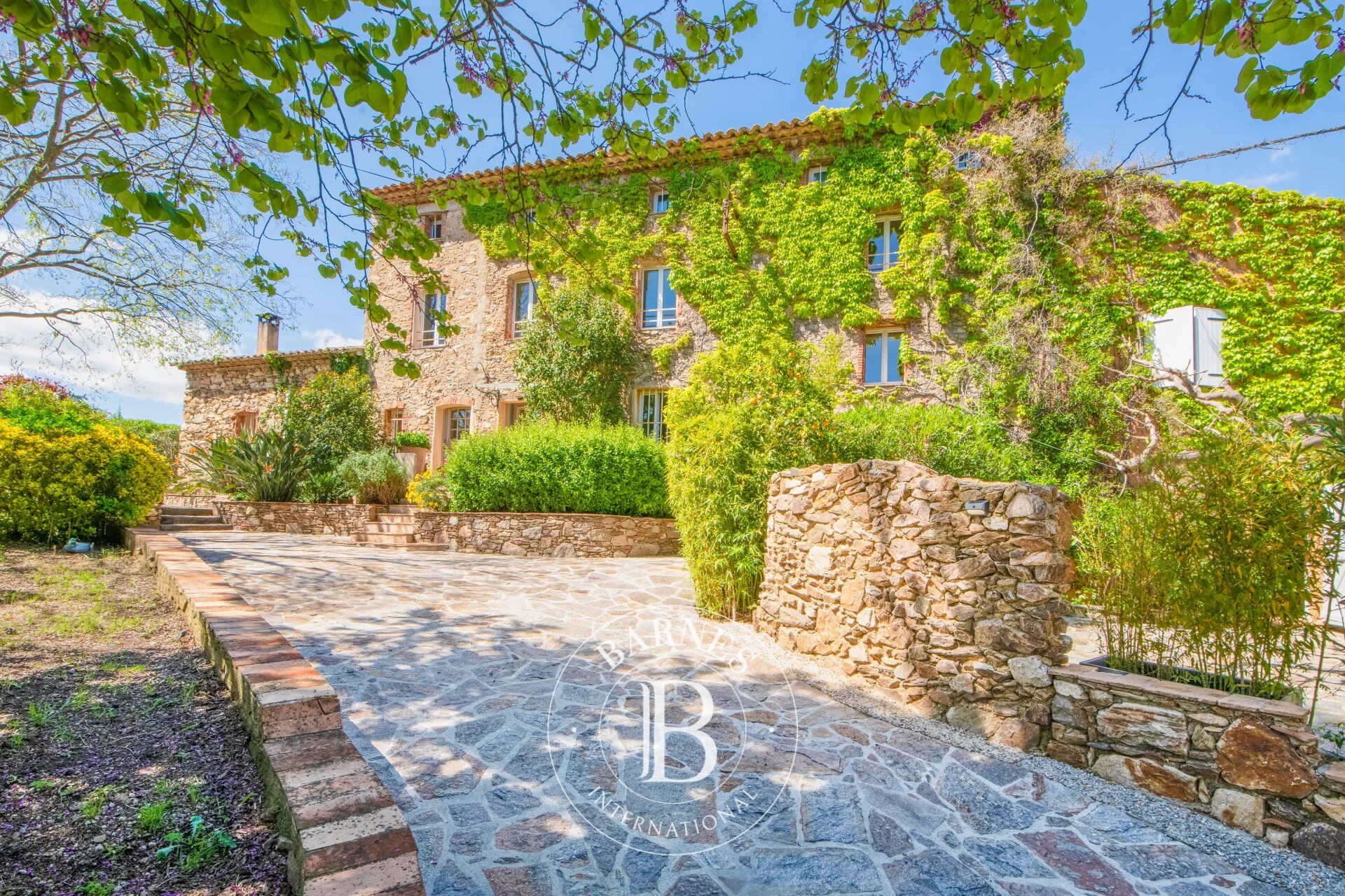 SAINTE-MAXIME - DOMAINE DE 8.8 HECTARES - 1000 OLIVIERS - DEUX GÎTES - DÉPENDANCES - DEUX PISCINES - picture 3