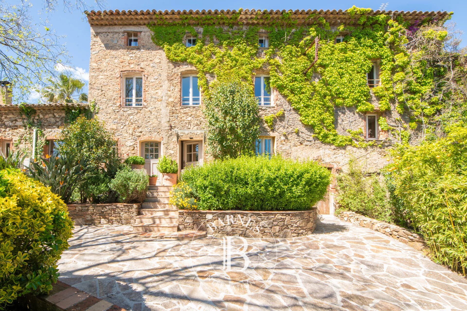 SAINTE-MAXIME - DOMAINE DE 8.8 HECTARES - 1000 OLIVIERS - DEUX GÎTES - DÉPENDANCES - DEUX PISCINES - picture 2