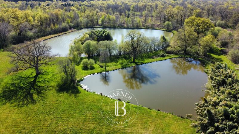 Venta, Finca Neuvy-sur-Barangeon - picture 1