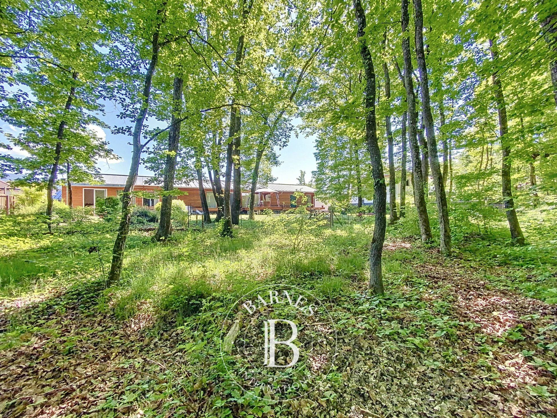 Ev Veigy-Foncenex - picture 5