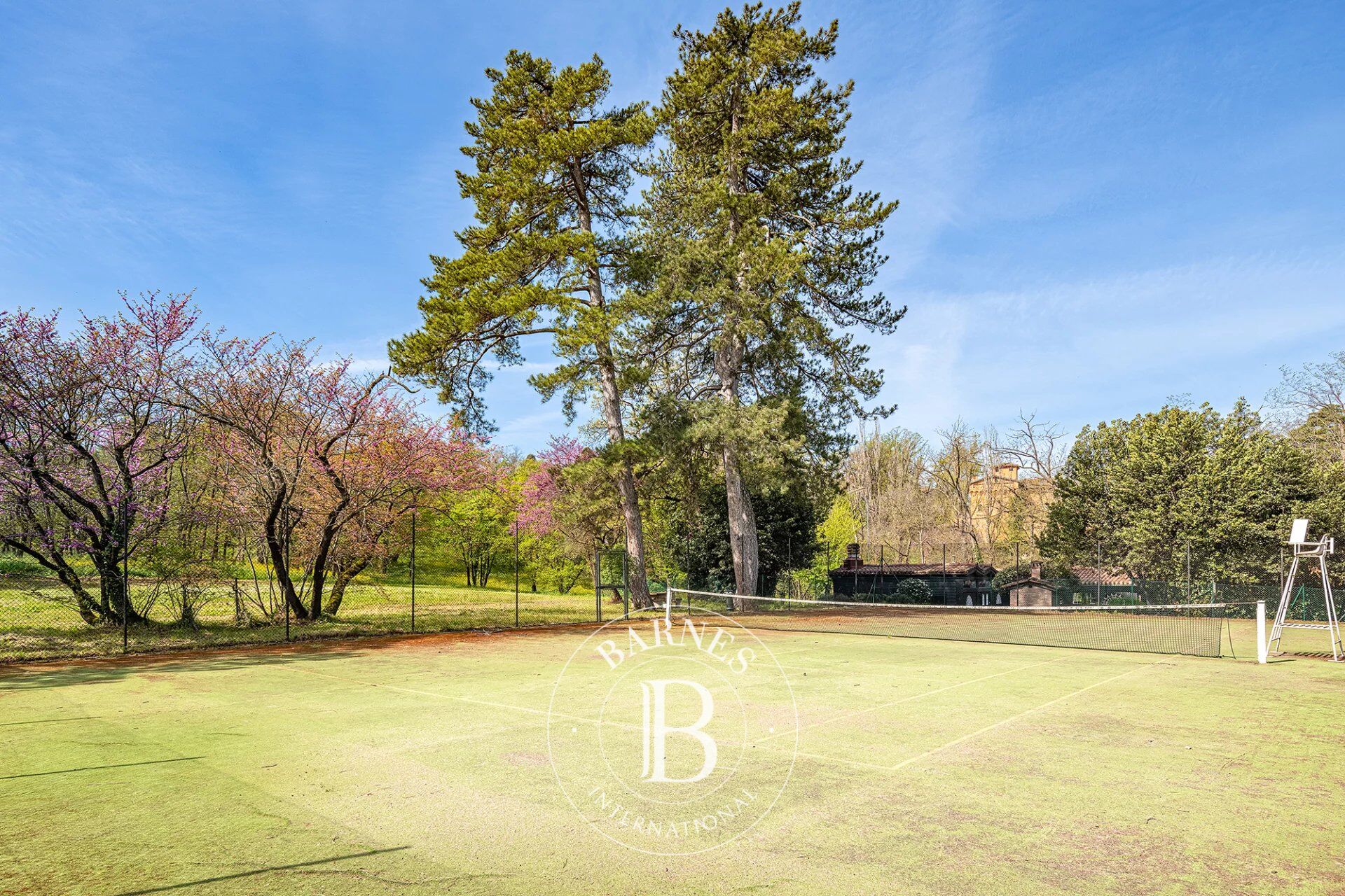 Villa Bologna - picture 10