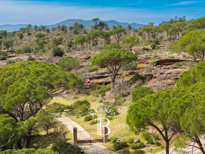 Zu verkaufen, Weingut Vidauban - picture 3