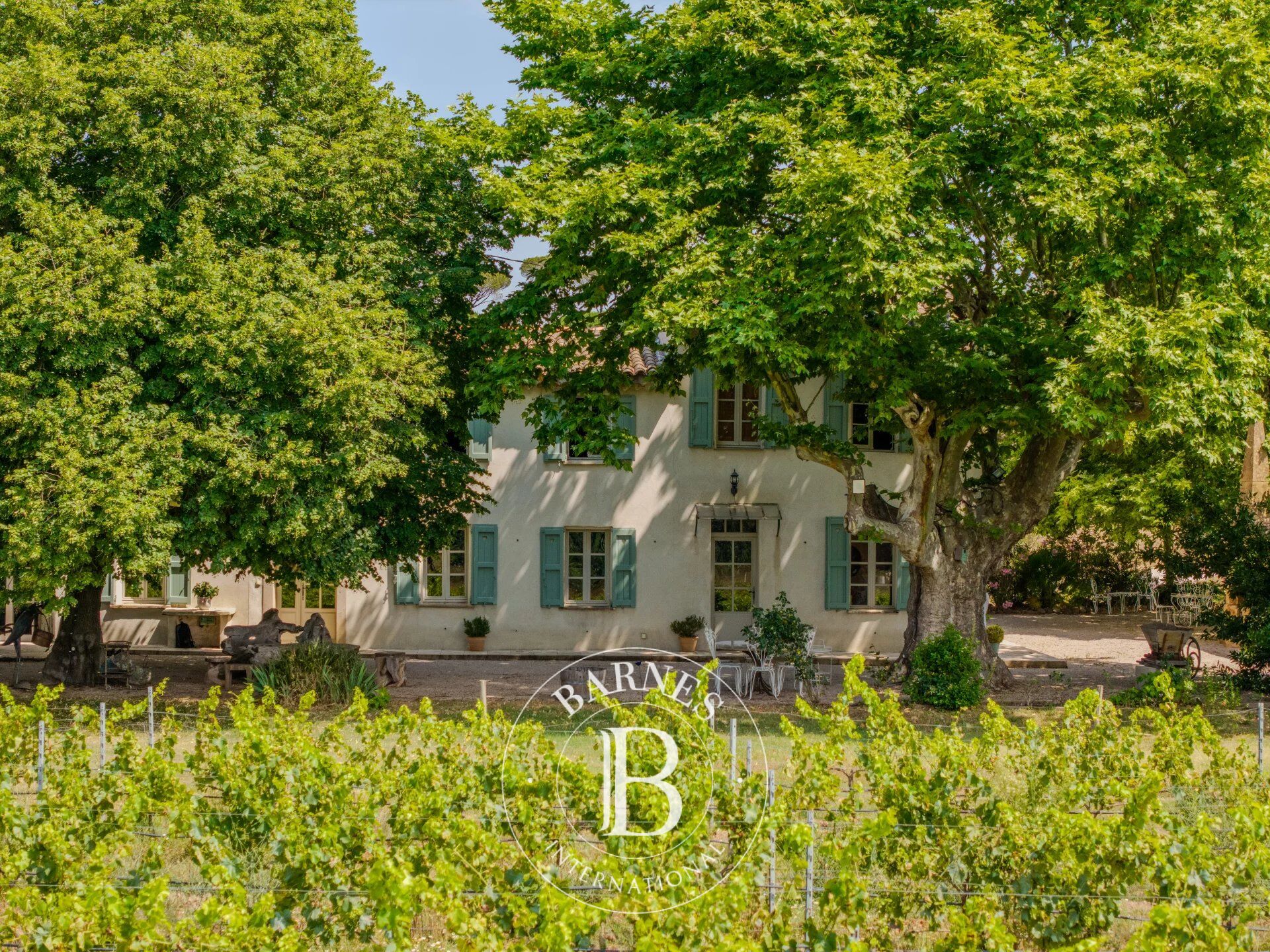 Proprietà vinicola Vidauban - picture 1