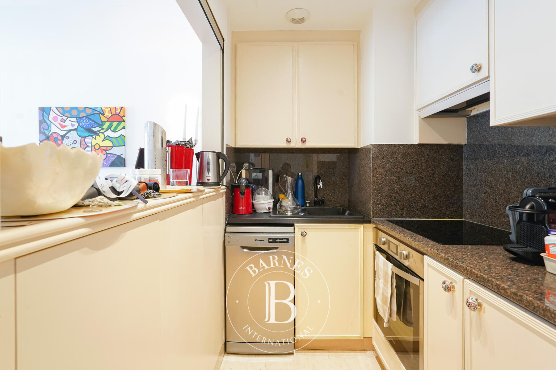 Daire Monaco - picture 8