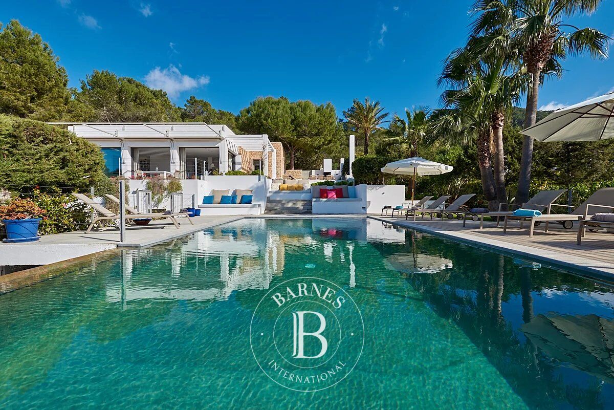 Villa Isla de Ibiza - picture 1
