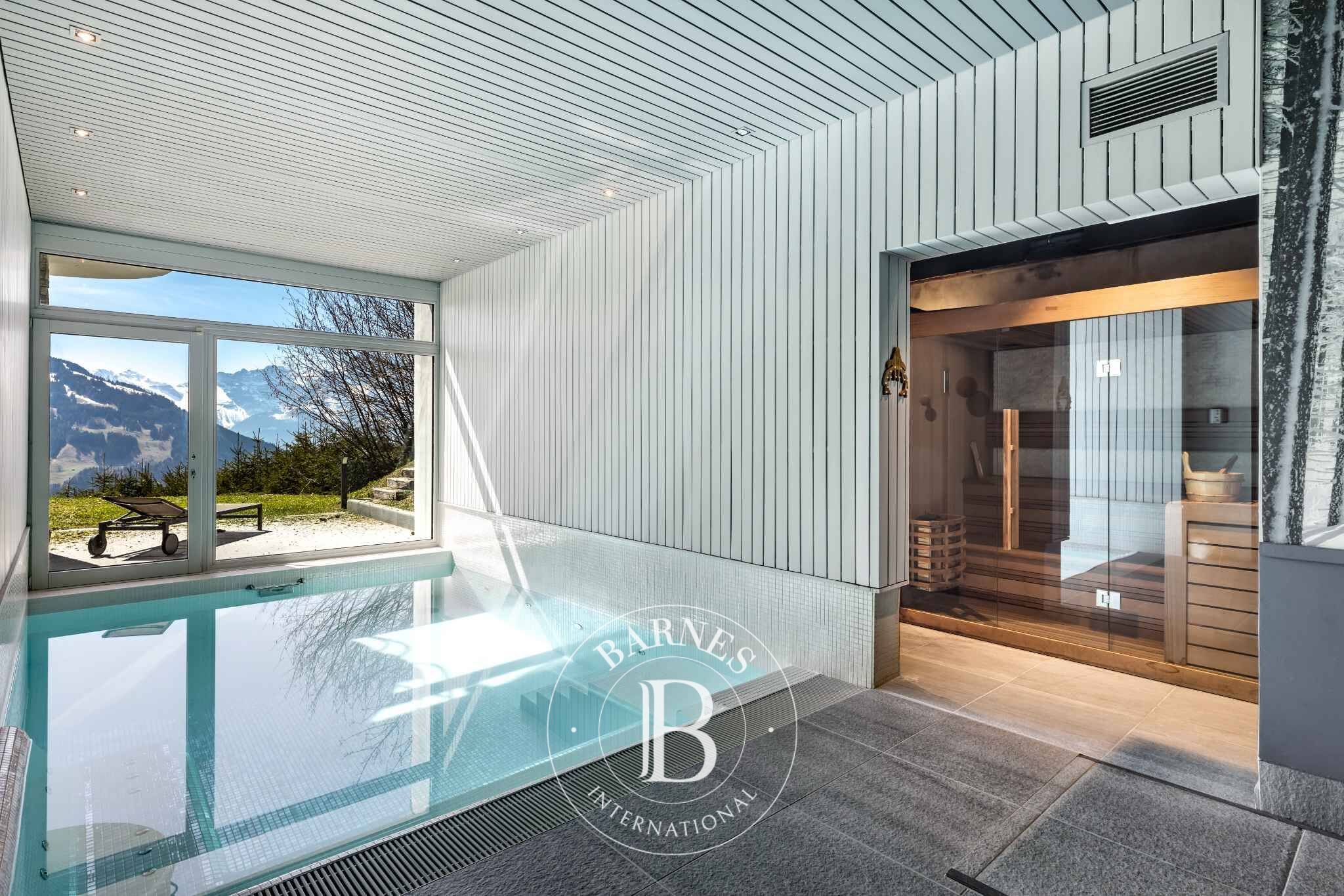 Dağ evi Villars-sur-Ollon - picture 14