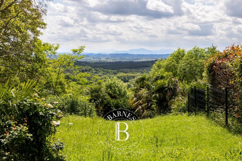 Venta, Finca Bélus - picture 2