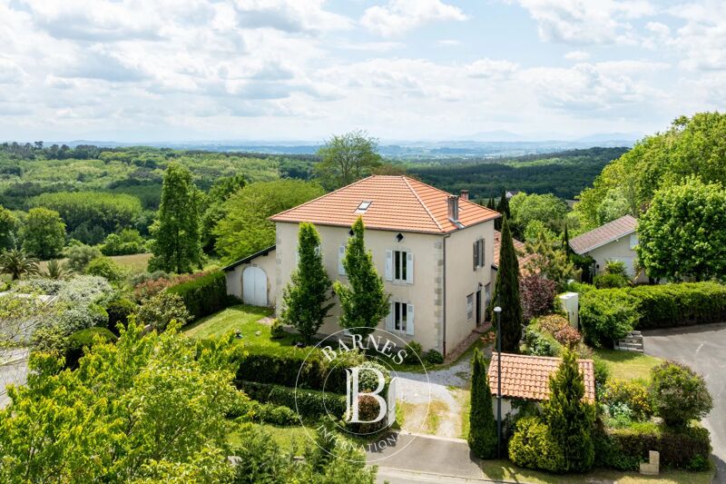 Venta, Finca Bélus - picture 1