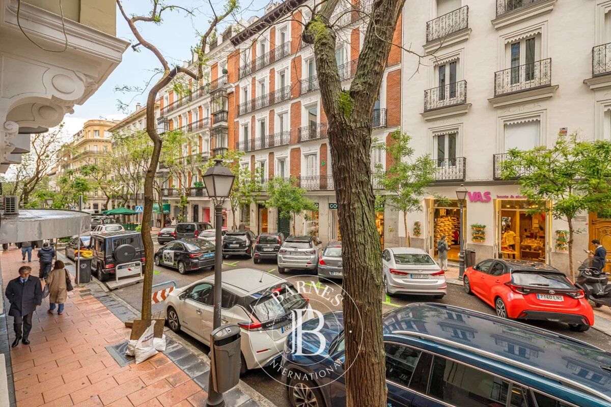 Daire Madrid - picture 37