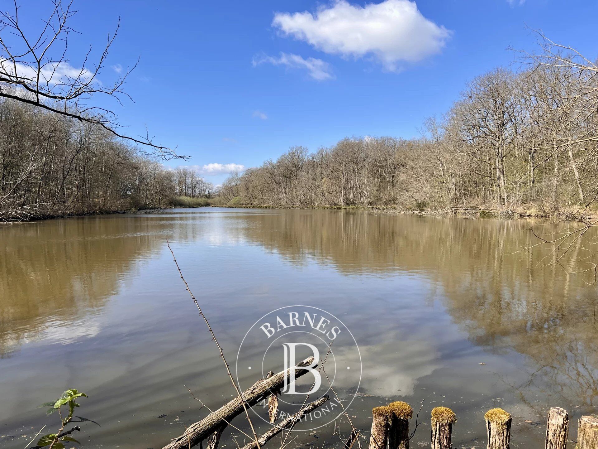 Finca Allerey-sur-Saône - picture 1