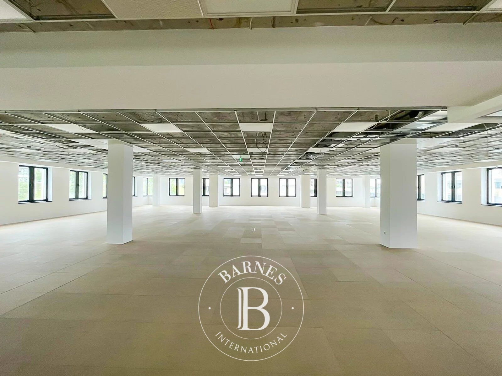 Oficina Sofia - picture 1