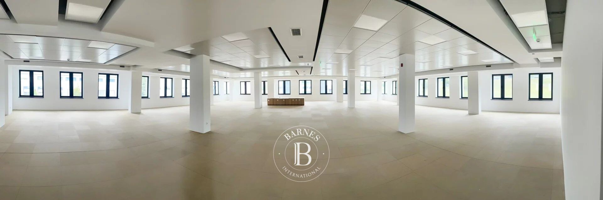 Oficina Sofia - picture 2