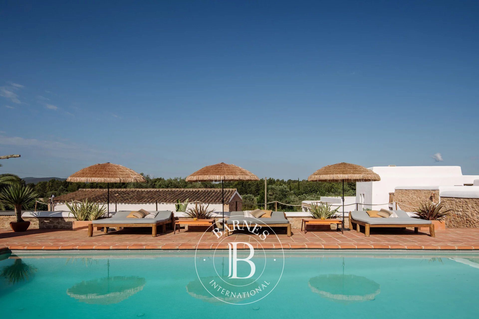 Casa del Olivo - picture 2