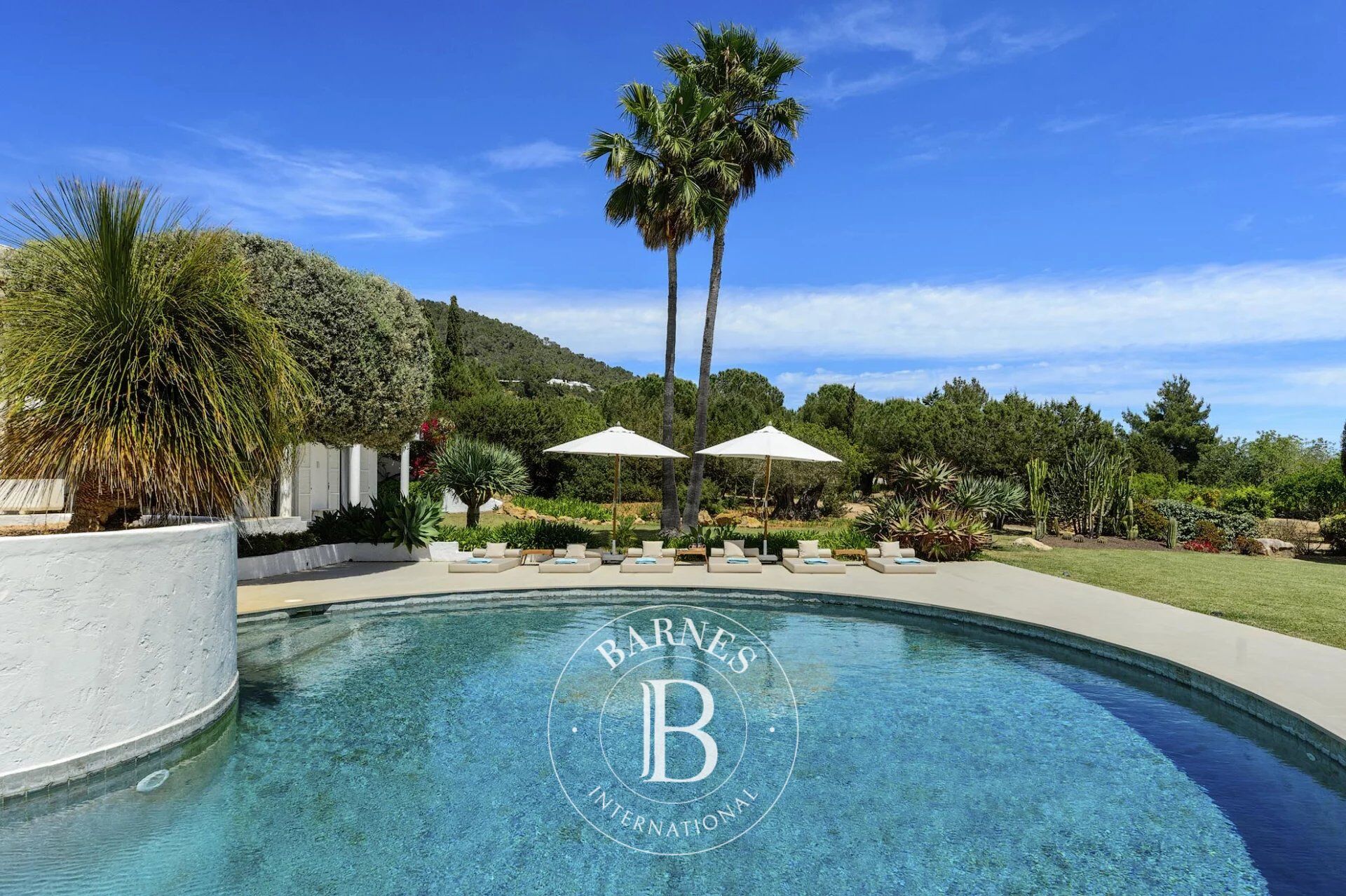 Villa Isla de Ibiza - picture 2