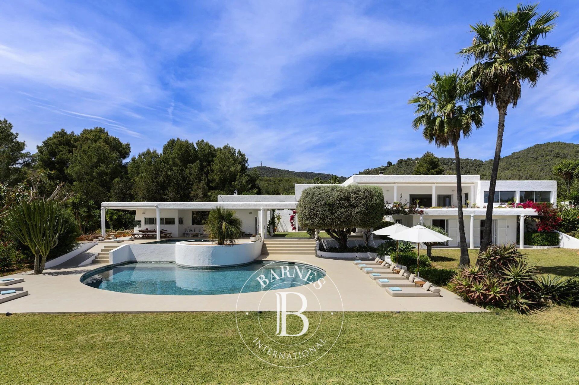 Villa Isla de Ibiza - picture 1
