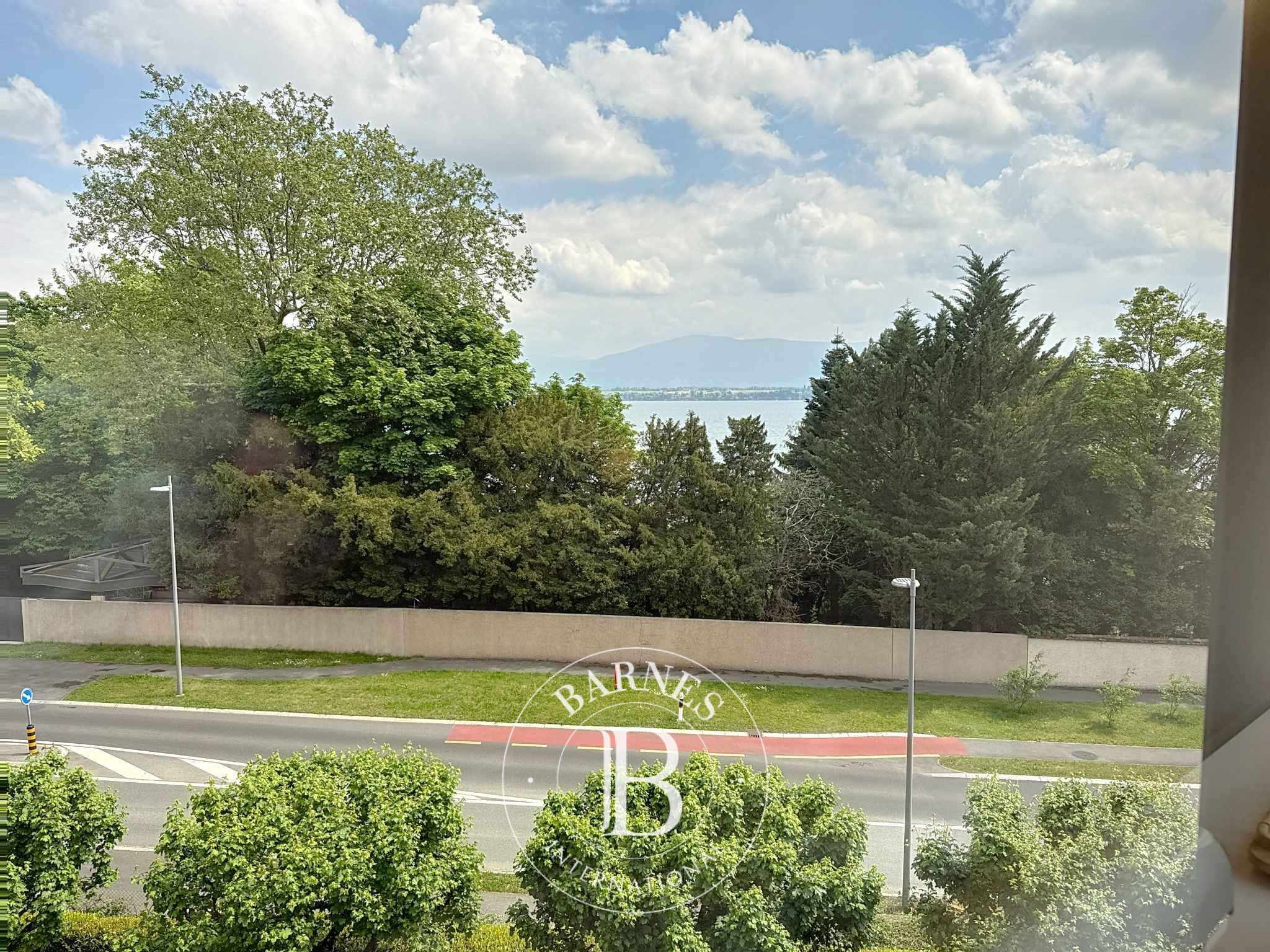 Daire Tannay - picture 9