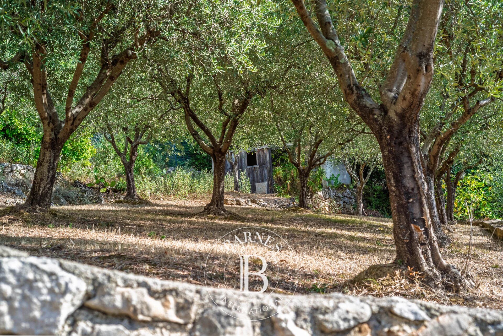 Villa Cabris - picture 21