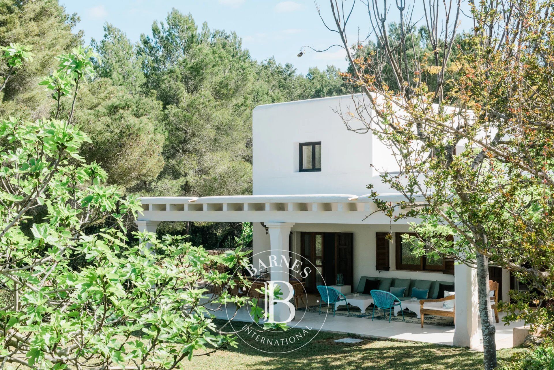 Villa Isla de Ibiza - picture 3