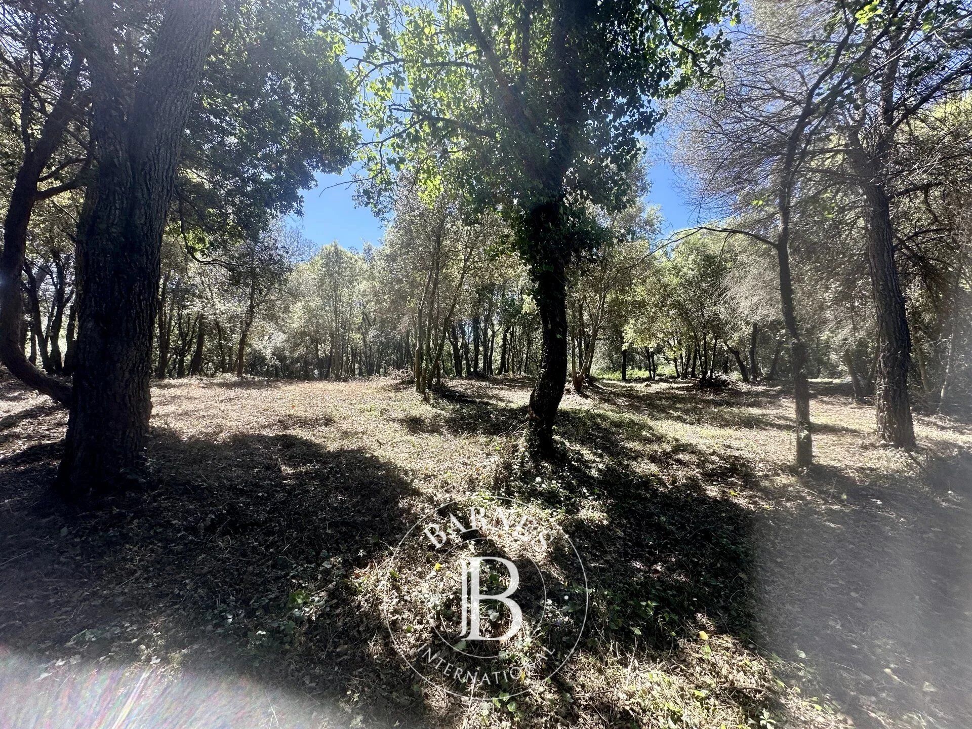 Arazi Biot - picture 6