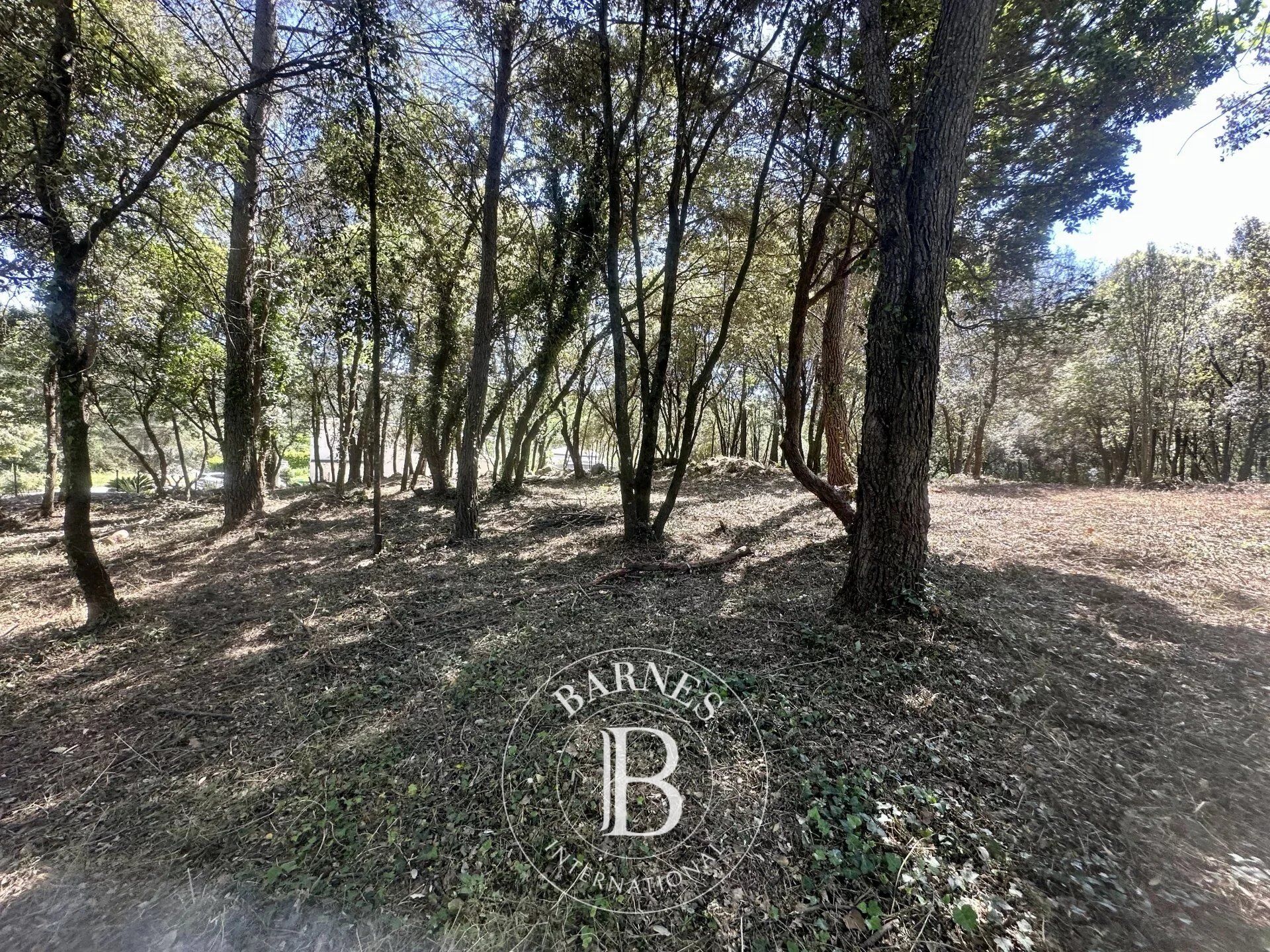 Arazi Biot - picture 4