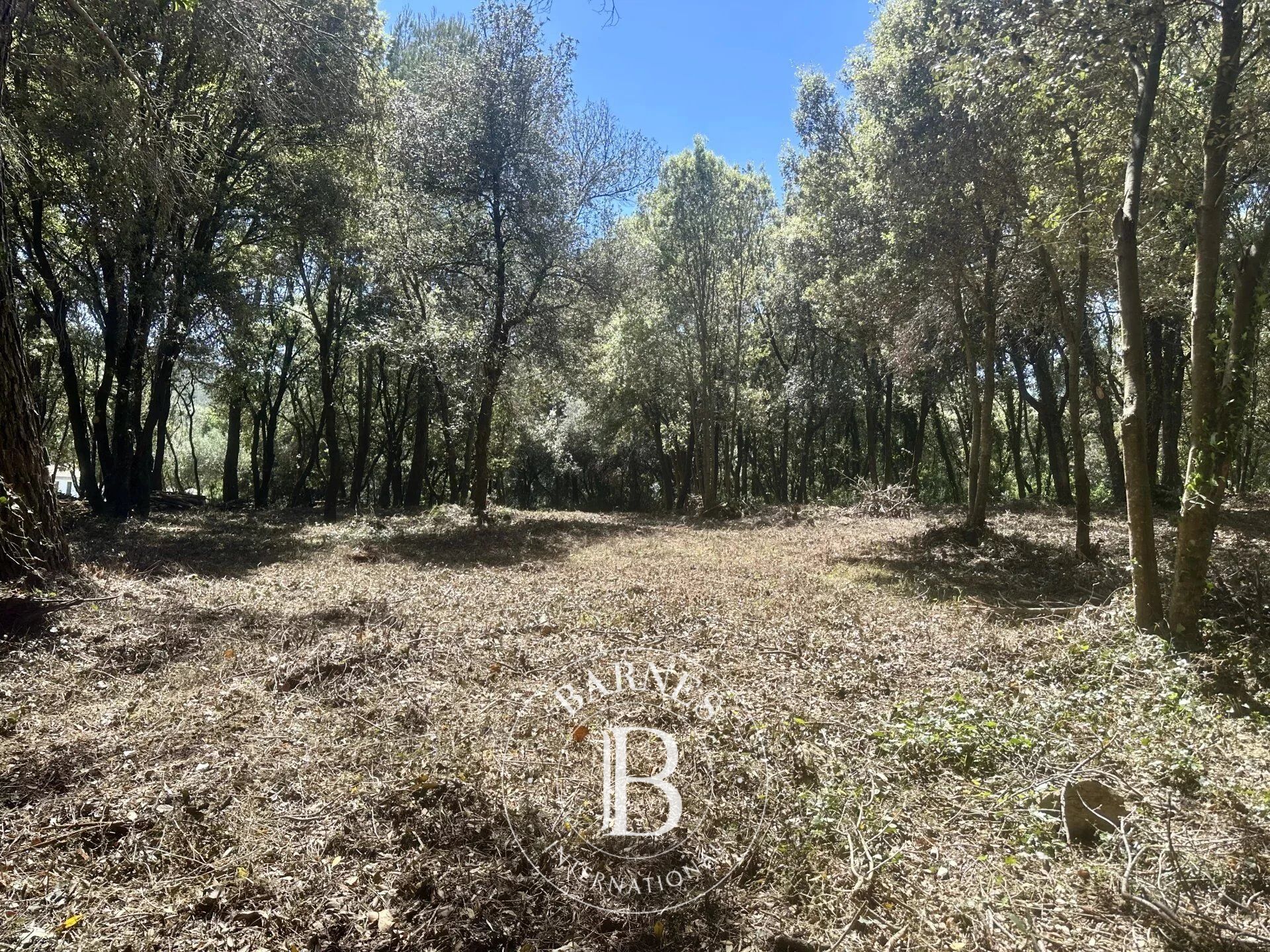 Arazi Biot - picture 8