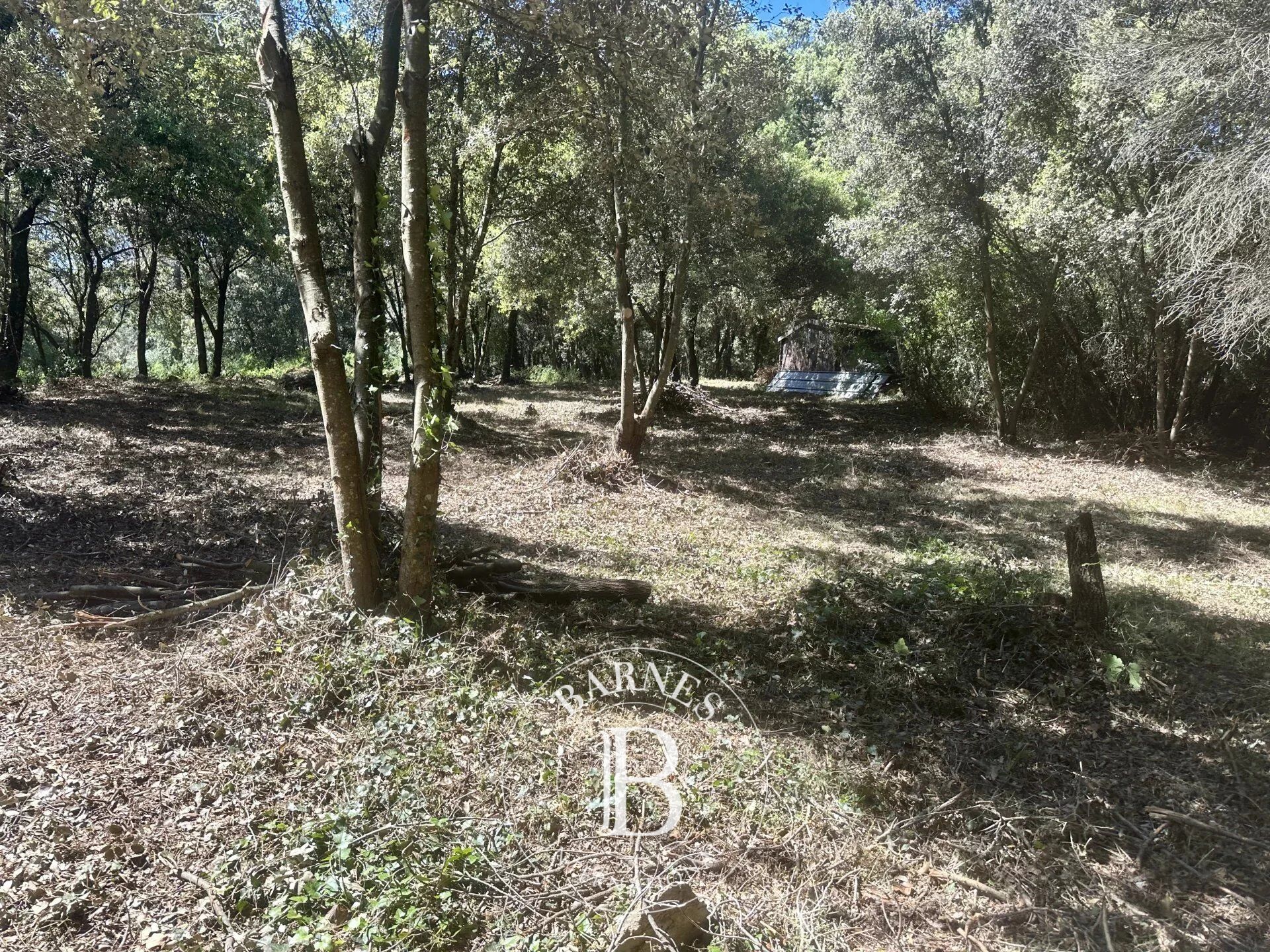 Arazi Biot - picture 9