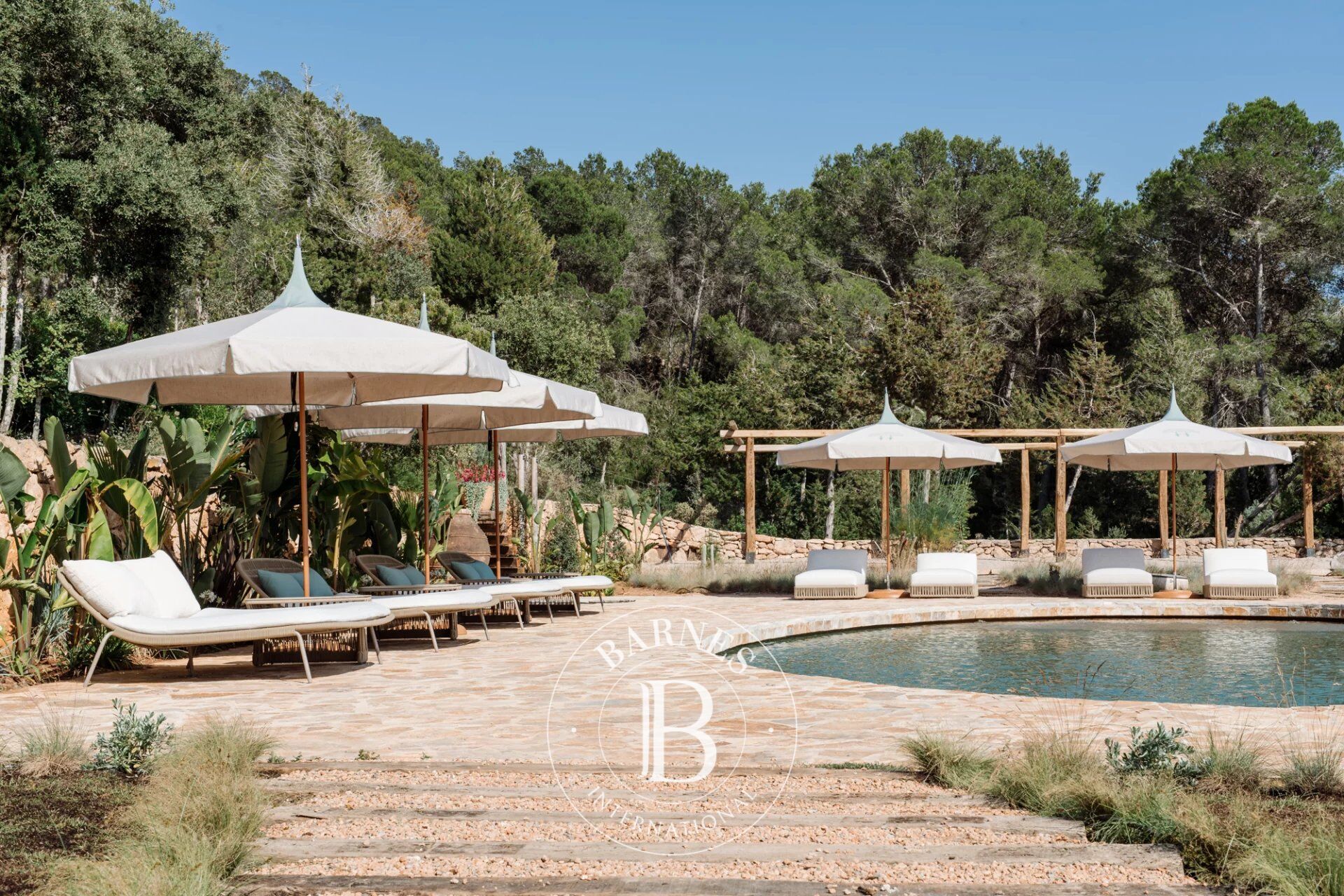 Finca La Inika - picture 3