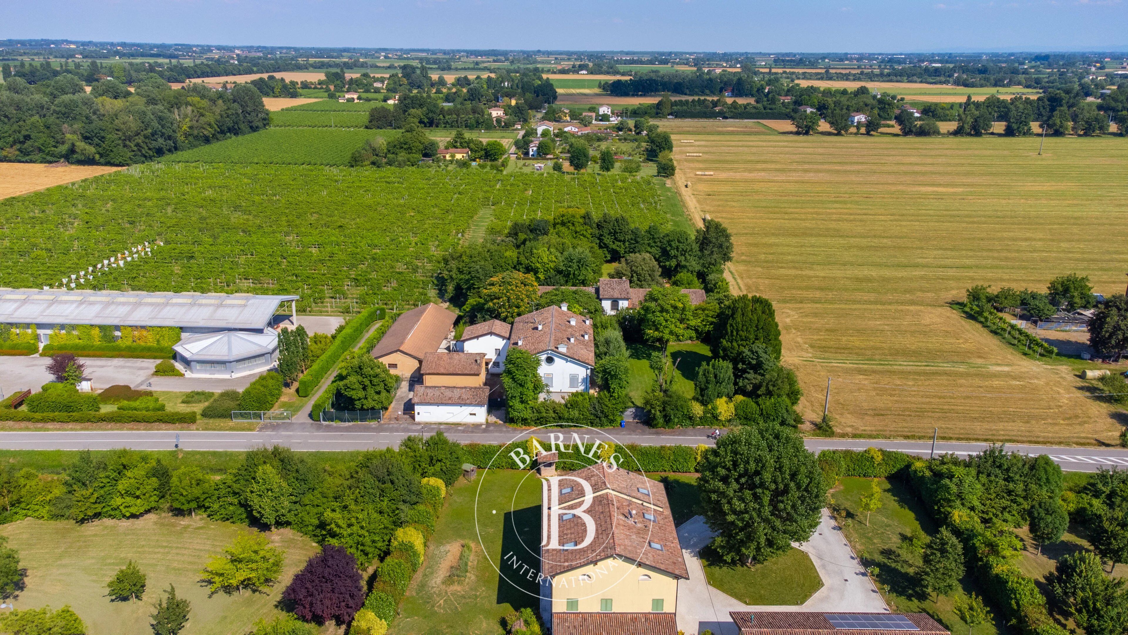 Malikane Carpi - picture 21