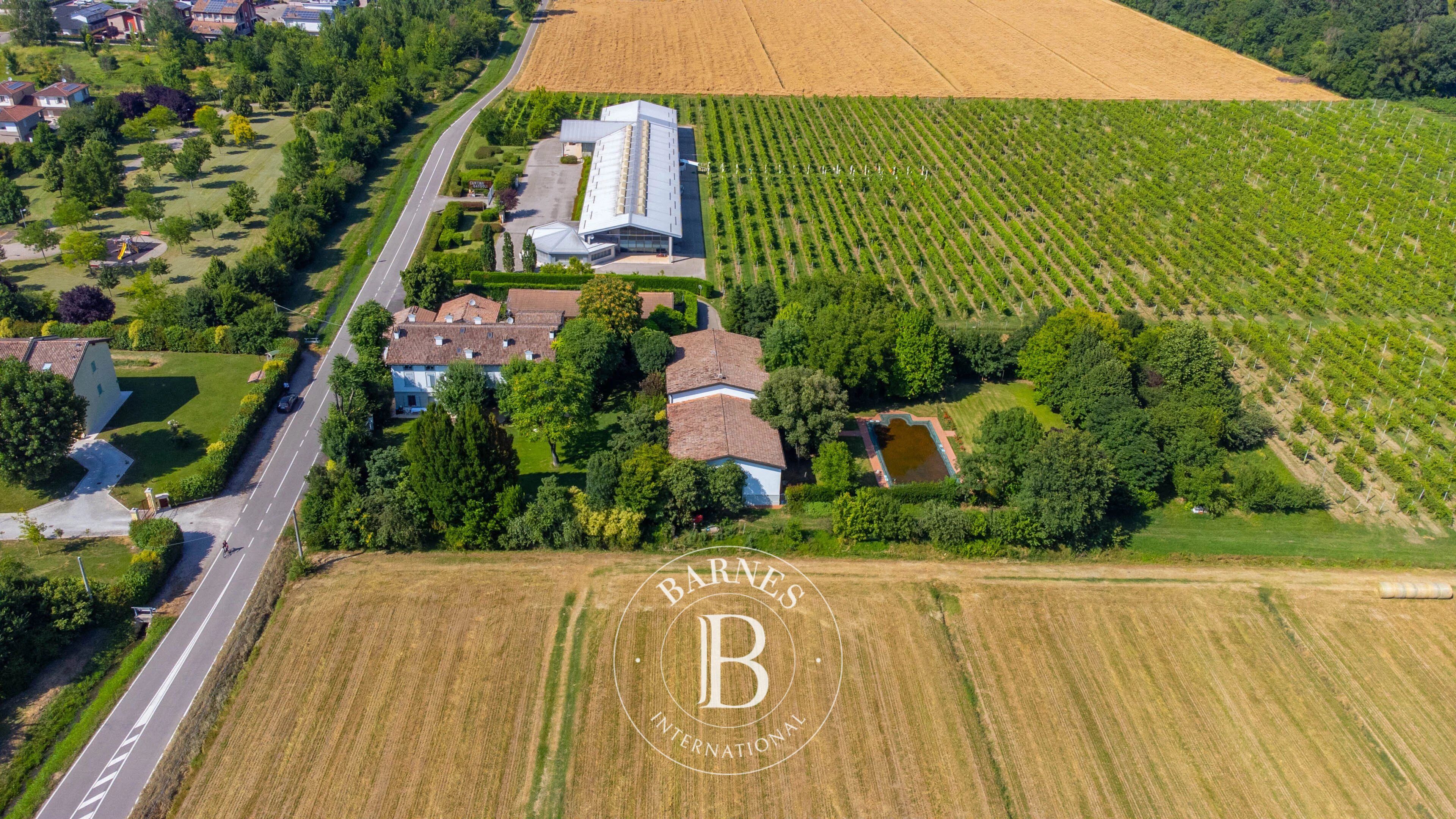 Malikane Carpi - picture 20