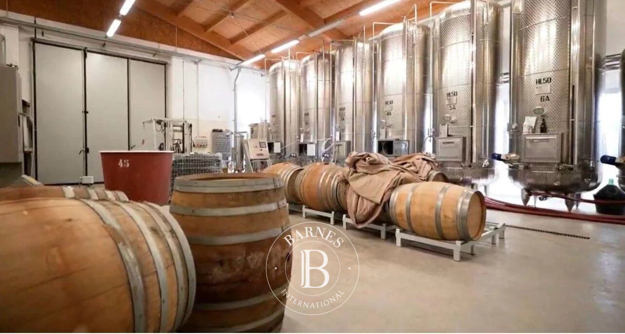 Malikane Carpi - picture 18