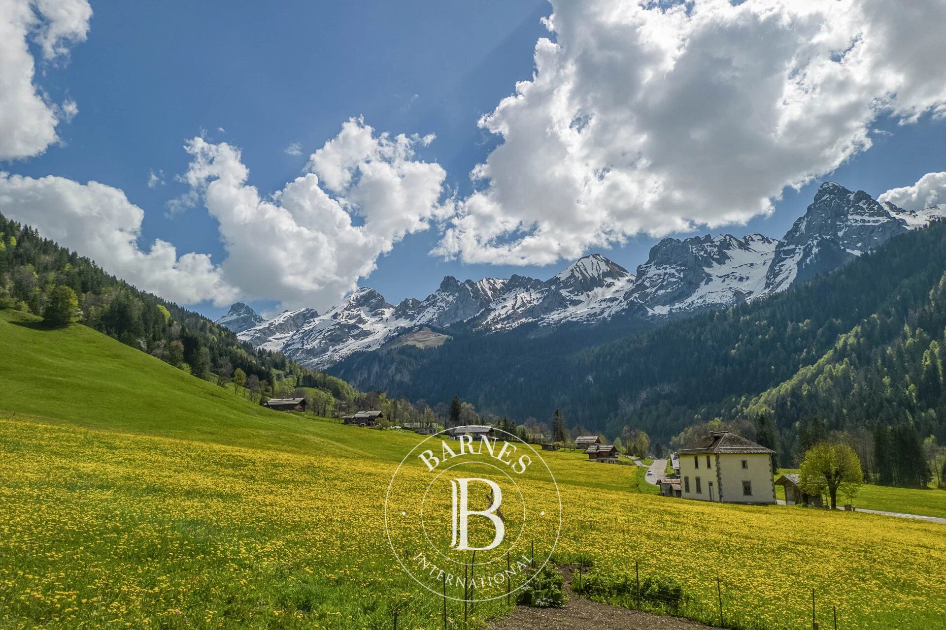 Chalet Le Grand-Bornand - picture 1
