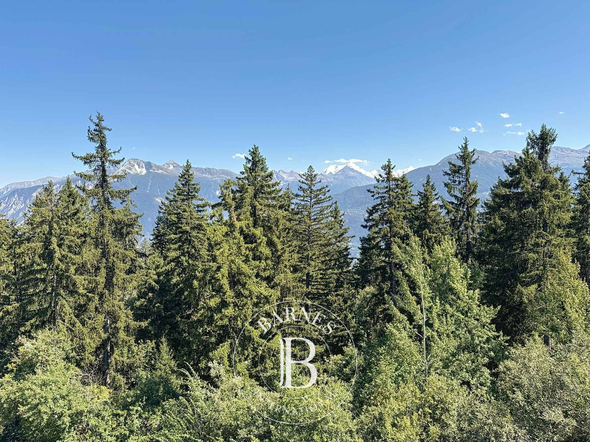 Penthouse Crans-Montana